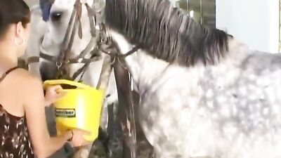 ida & Horse IDAPRIVATE 2