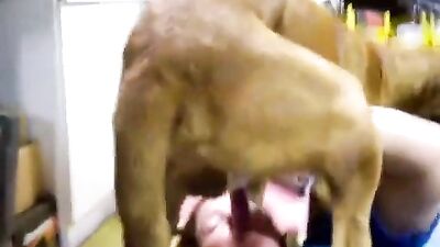 Horny chubby woman sucking deep dog - Animal xxx videos