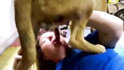 Horny chubby woman sucking deep dog - Animal xxx videos