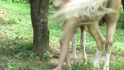 Horse Milly 3 BestialityContent