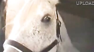 Horny Teen Swallows Hot Horse Cum