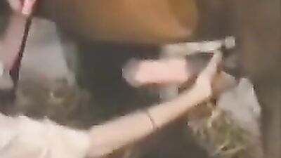 Horse fucks womans mouth