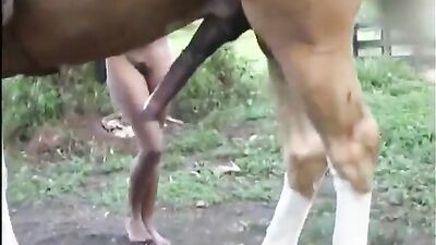 Horse Gisele 2 BestialityContent
