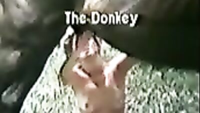 Getting horse cock out with handjob
