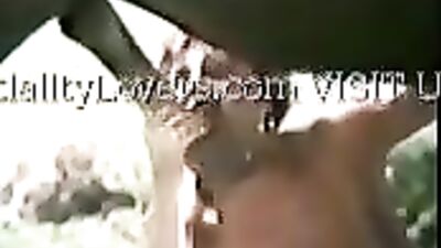 Getting horse cock out with handjob