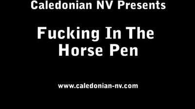 Fucking in the Horse Pen