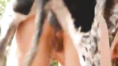 Puppys Tight Bum Gets Licked & Filled