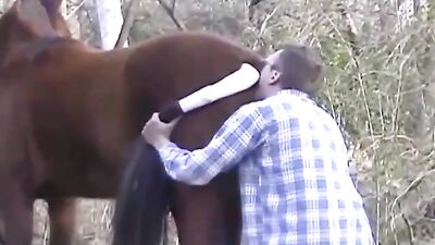 Caledonian - Fun Wth The Stallion