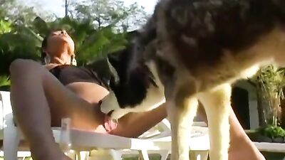 brazilian girls sex with dogs anal