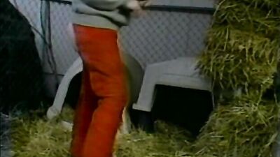 Caledonian - Friskys_Outside_Play_Pen
