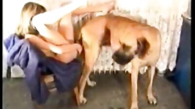 BILARA DOG GAMES