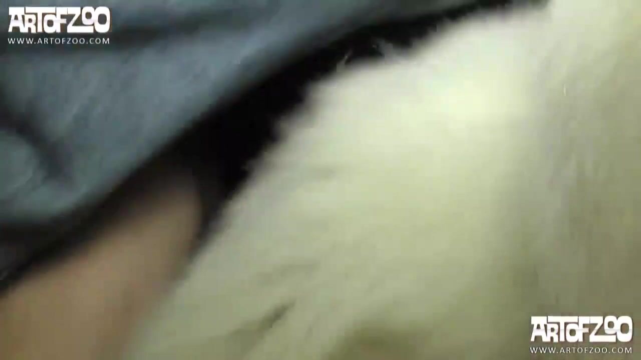 ArtofZoo Sam - Sensational Sam HD