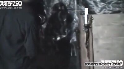 Art of Zoo - Wolf Fairytale