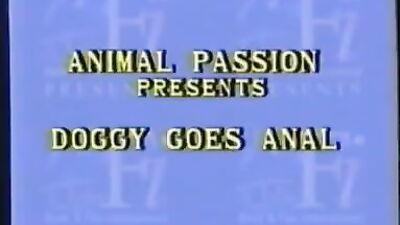 Animal Passion Doggy Goes Anal