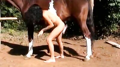 AnimalPass - Young Brasil Girl And Horse