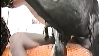 AnimalPass Anal Fucking Dog