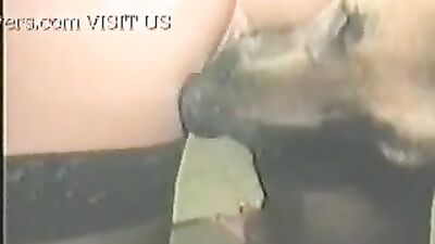 Animal Dog cum in pussy