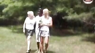 Animal Horse Farmcum Cute Blond