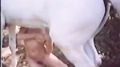 Animal - Horse - Gag After Swallowing Horsecum