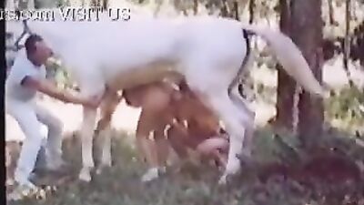 Animal - Horse - Gag After Swallowing Horsecum