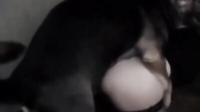 Amateur - German Woman Home Dog Sex