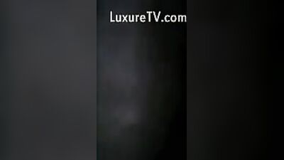 A lucky dog has sex