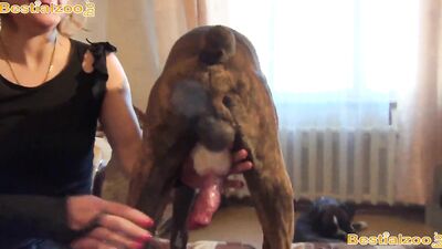 Teamrusian for bestialzoo