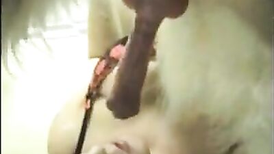 Soraya sucks the dogs cock