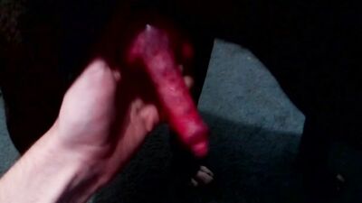 Red cock