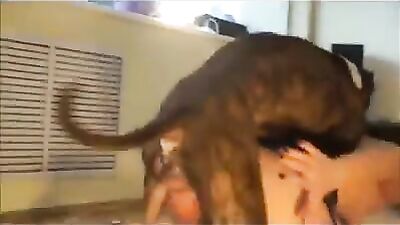 Quickie in the ass