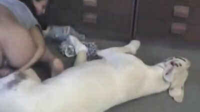 Pregnant Fuck Dog