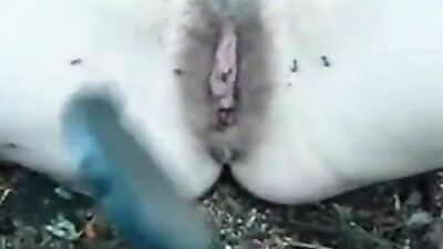 Pussy full of ants