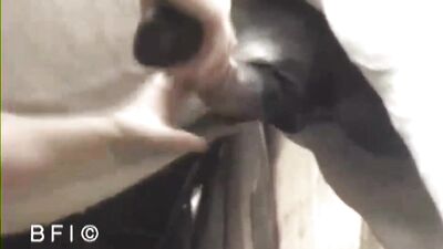 Gorgeous brunette girl with a huge horse cock
