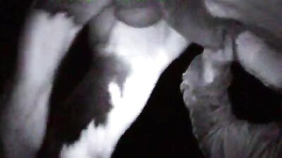 Handjob and blowjob to the horse