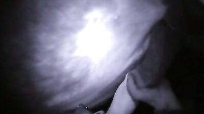 Handjob and blowjob to the horse