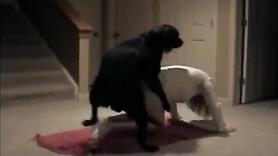 My husband didnt want to fuck