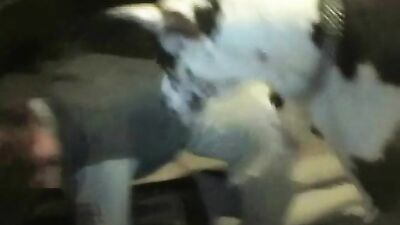 Mi macho alpha
