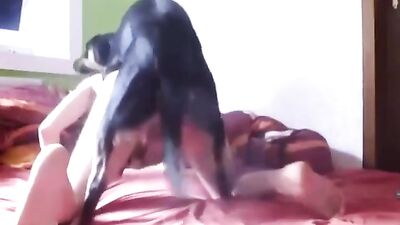 Mi chico con el perro