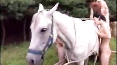 Men goat and mare fuck orgy