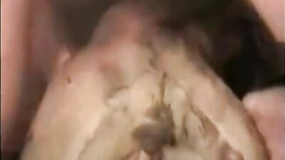 Man fingerin fuck Dog