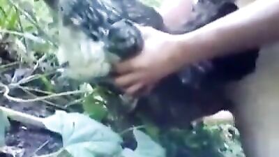 Man cums in Chicken