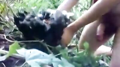 Man cums in Chicken