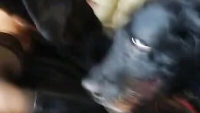 Lucky black dog fuck a wonderful woman