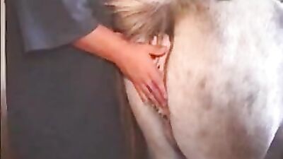 Lubricating the horses pussy