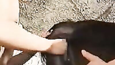 Lesbian with horse pussy
