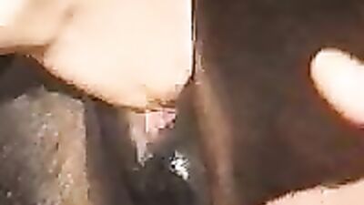 Lesbian with horse pussy