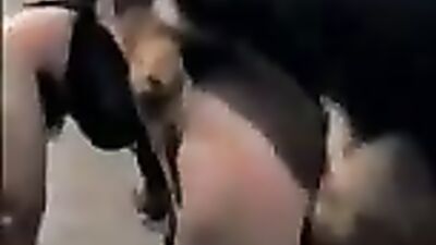 K9 old video