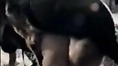 K9 old video