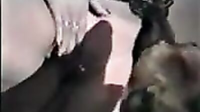 K9 old video
