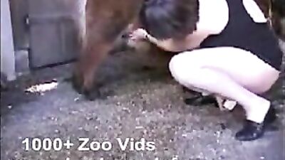 Playing with the mini pony